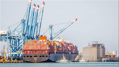 تداول 25 سفينة بضائع متنوعة داخل ميناء دمياط