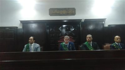 تفاصيل مقتل الطفلة روجينا.. الأم انتقمت من ابنتها لرؤيتها مع المتهمين في حفلة جنس جماعي.. وجنايات المنصورة تعاقب الجناة بالإعدام والمؤبد 