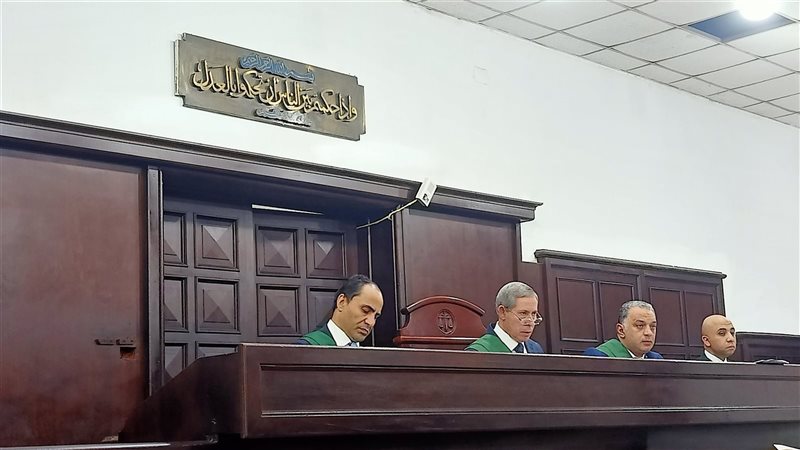 جنايات المنصورة