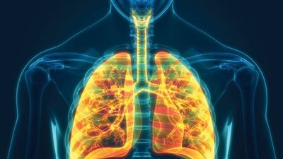 ما هو مرض النفاخ الرئوي.. الصحة توضح