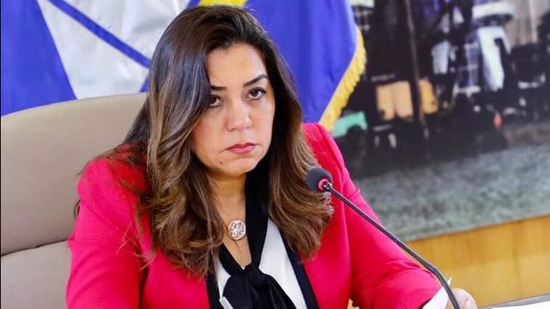 محافظ دمياط