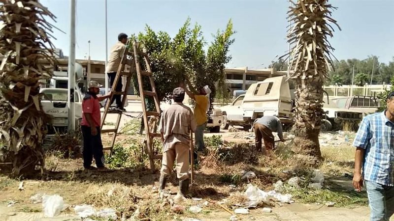 إزالة المخلفات بسوق