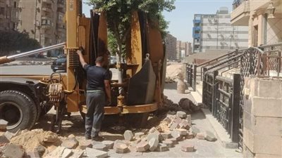 استكمال أعمال تشجير الجزيرة الوسطى بشارع الزهراء الرئيسي بالمعادي