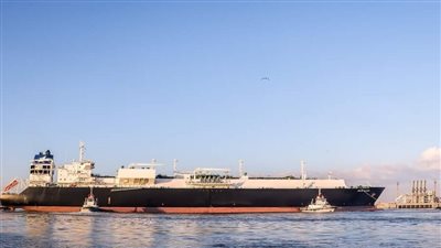 منها ناقلة الغاز المسال.. تداول 31 سفينة بضائع متنوعة بميناء دمياط