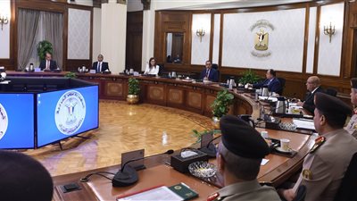 مجلس الوزراء: طرح شركتي وطنية وصافي في البورصة قبل نهاية العام