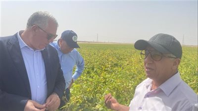 وزير الزراعة: محصول الذرة هذا العام مبشر.. ويساهم في تقليل استيراد الأعلاف