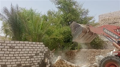 إزالة 52 حالة تعد على أملاك الدولة وأراض زراعية بـ3 مراكز في أسيوط 