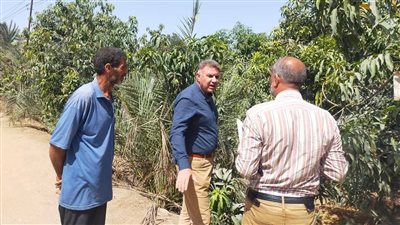 رئيس المركزية لمكافحة الآفات يتفقد مزارع المانجو بالإسماعيلية