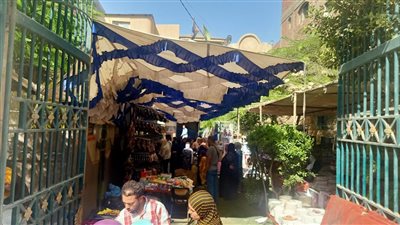 مركز شباب كوم اشفين بالقليوبية يستقبل سلسلة معارض 