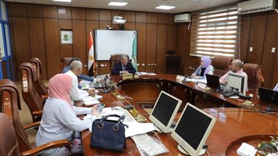 محافظ المنيا يواصل ترأس أعمال اللجنة التنفيذية لدراسة مشروعات الخضراء الذكية