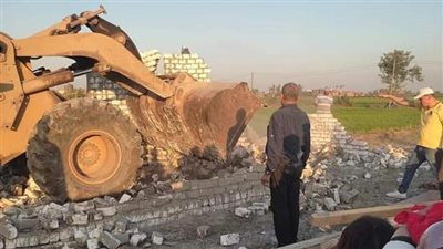 الحبس والغرامة.. عقوبات التعدي على الأراضي الزراعية