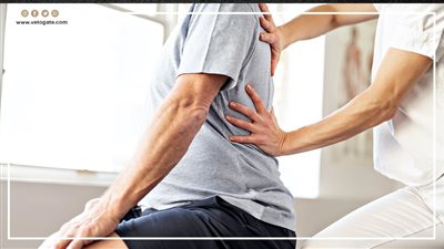  4 شروط لمزاولة مهنة العلاج الطبيعي | إنفوجراف