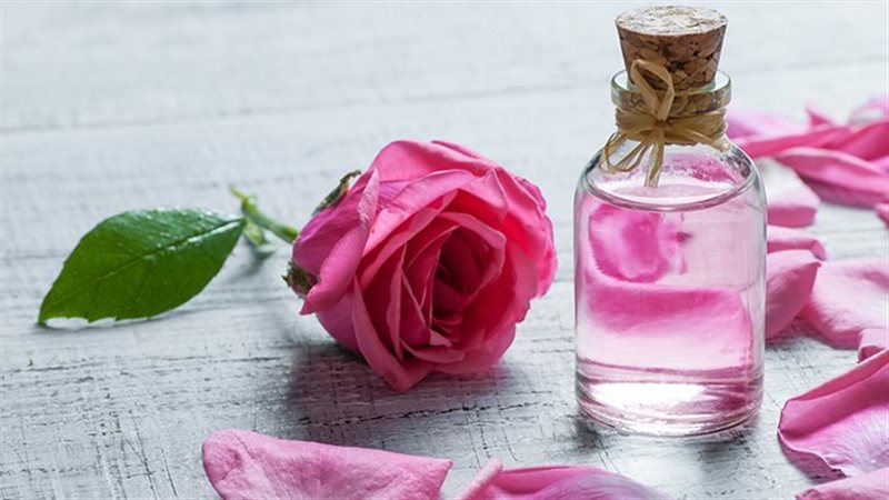 ماء الورد