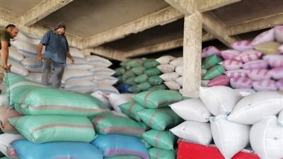 توريد 3183 طن أرز لمطاحن الدقهلية 