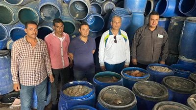 ضبط أطنان من العجوة والمخلل الفاسد في الجيزة