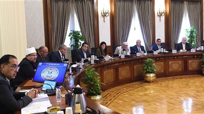 الحكومة تتعاقد مع شركة متخصصة لتوفير مبيدات يرقات البعوض 