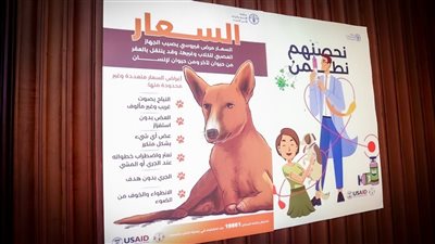 الصحة: زيادة عدد مراكز التعامل مع حالات العقر والخدش لـ302 مركز بالجمهورية