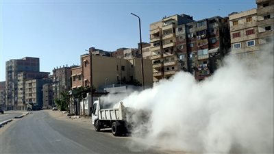 أحياء الإسكندرية تستعد للعام الدراسي الجديد بحملات نظافة | صور