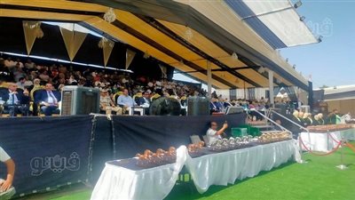 96 حصانا يشارك في يوم الجمال بمهرجان الخيول العربية بالشرقية | فيديو 