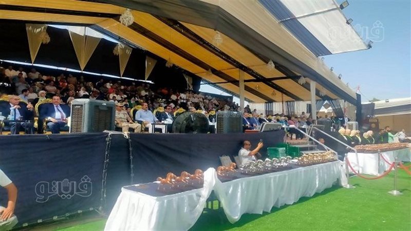 افتتاح مهرجان الخيول