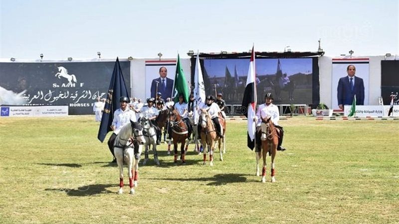 مهرجان الخيول العربية