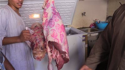 ضبط 4 مطاعم شهيرة في القليوبية بداخلهم لحوم وكفته غير صالحة | صور 