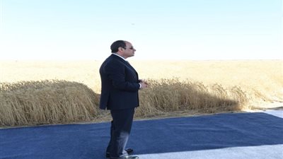  بالتفاصيل.. مستجدات الموقف التنفيذي للمشروع القومي للإنتاج الزراعي واستصلاح الأراضي في توشكى| صور