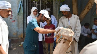 قافلة بيطرية بقرية الشيخ جامع بسوهاج تناظر ٦٠٩ حالات