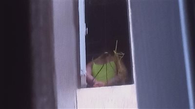 تفاصيل تعذيب فتاة وتقييدها بالحبال على يد والدتها بالأسمرات