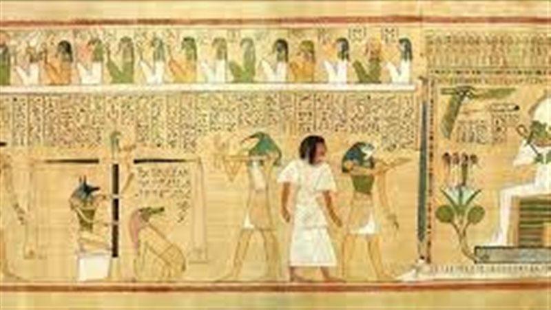  علم المصريات