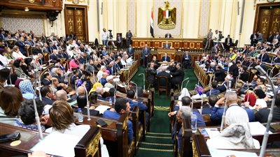 ترحيب برلماني بقرار رئيس الجمهورية بفرض تدابير بسيناء لحفظ الأمن 