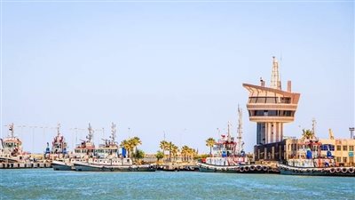 تداول ٢٩ سفينة بضائع متنوعة داخل ميناء دمياط 