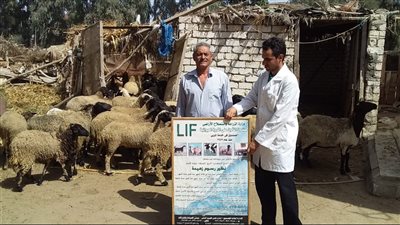 تنفيذ قافلة سكانية شاملة بقرية كفر داود بمركز وادي النطرون في البحيرة