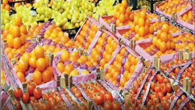 نائب يطالب باستراتيجية لزيادة الصادرات الغذائية للخليج العربي