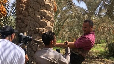 جابر القرموطي يجري معايشة لأعمال موسم حصاد التمور