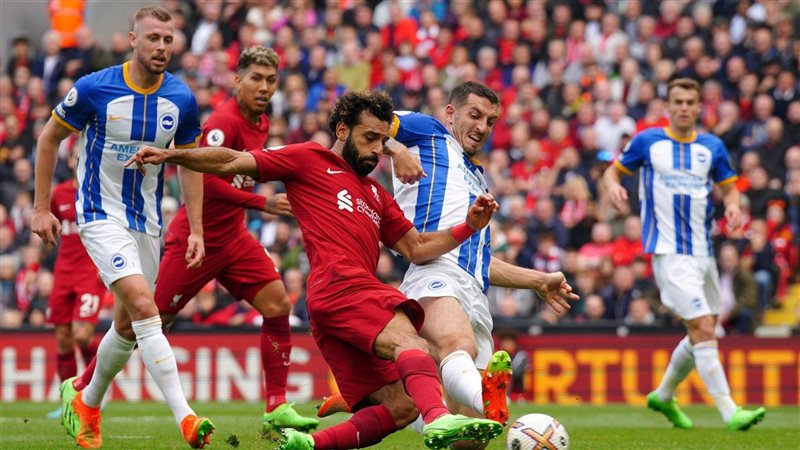 ليفربول وبرايتون،