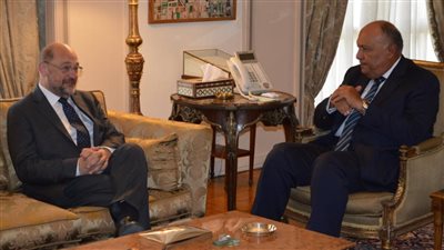 وزير الخارجية يستقبل رئيس مؤسسة فريدريش إيبرت الألمانية