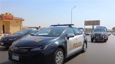  105 أطنان أرز و41 طن لحوم ودواجن فاسدة.. حملات على الأسواق تحرر 1598 قضية تموينية 