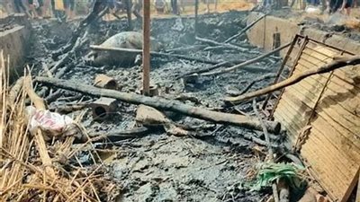 نفوق 3 رؤوس ماشية في حريق داخل حظيرة بالأقصر 