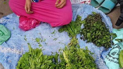 الأمانة في أبهى صورها.. بائعة خضار تعثر على 30 ألف وحلق ذهب وتعيده لصاحبتها