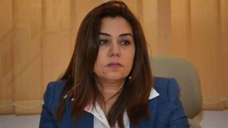 محافظ دمياط