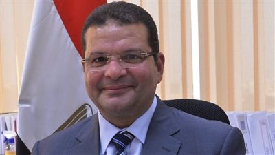 نائب وزير المالية يطالب شركات التأمين بالاستثمار والاكتتاب في السندات الخضراء