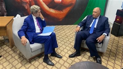 نشاط مكثف لـ سامح شكري خلال الاجتماع التحضيري لمؤتمر COP27 بكينشاسا | صور