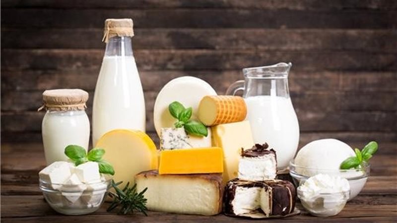 أسعار منتجات الألبان