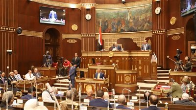 بينها الألعاب الإلكترونية.. رئيس الشيوخ يعلن تلقيه 3 دراسات من الأعضاء 