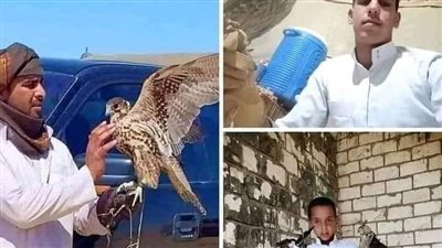 بعد مصرع 3 شباب بصحراء مطروح.. صيد الطيور الجارحة هواية أم مخاطرة؟ 