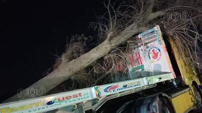 سقوط شجرة ضخمة علي تريلا بطريق
