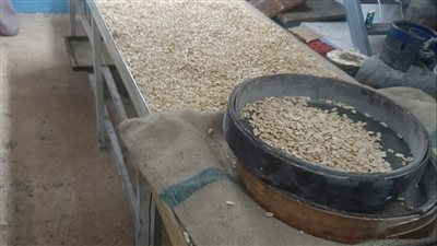 التحفظ على 50 طن سلع بها غش تجاري ومجهولة المصدر بالقليوبية