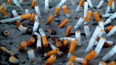 حكاية مصنع يحول أعقاب السجائر إلى حشو للدمى