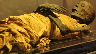 مفاجأة.. أستاذ بهارفارد: سر مصري قاد طبيب سويدي لجائزة نوبل 